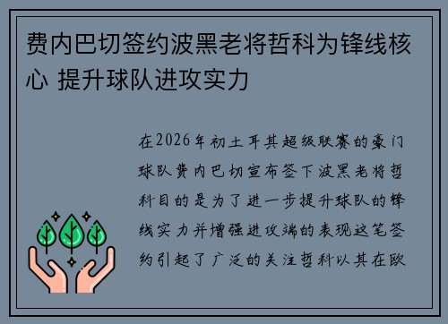 费内巴切签约波黑老将哲科为锋线核心 提升球队进攻实力